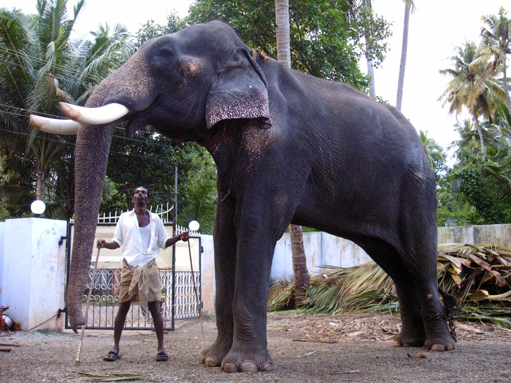 découvrez inde avec agence darshan travel
