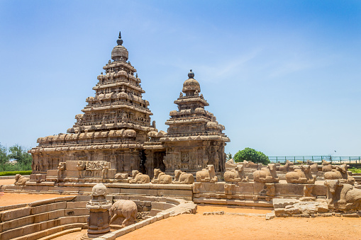 voyager en inde avec darshan travel