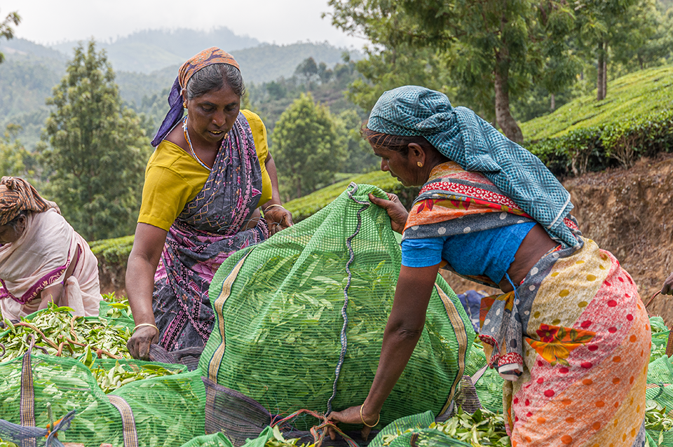 agence réceptive en inde darshan travel