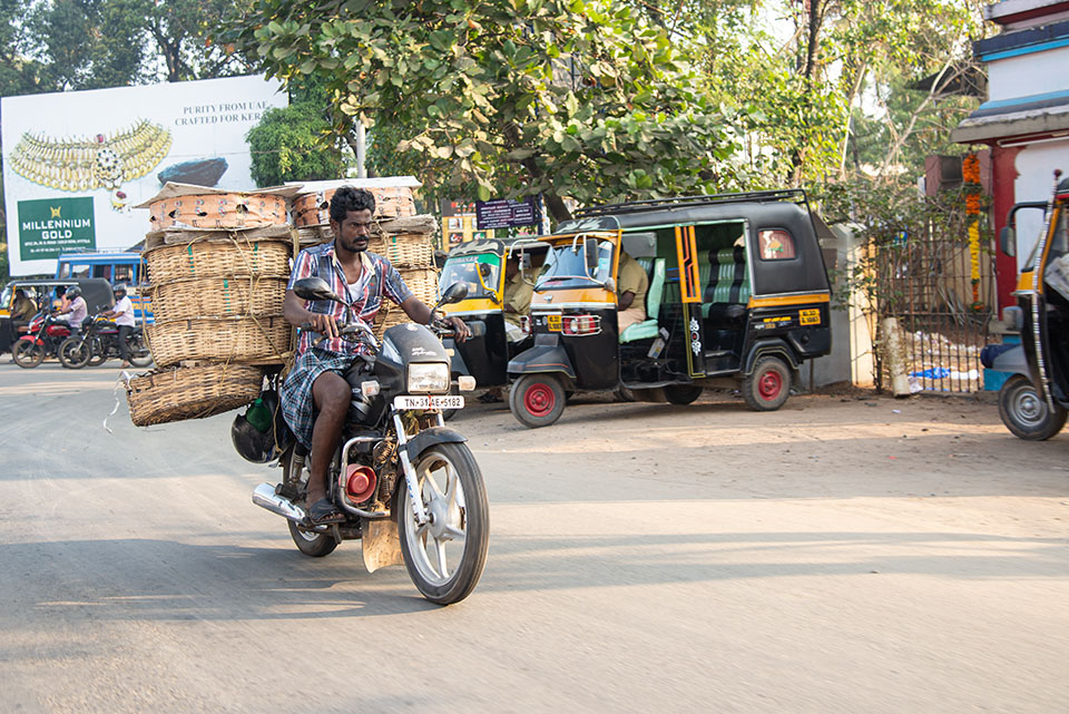 inde et kerala avec agence spécialisée